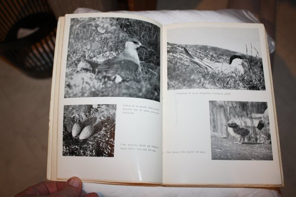 galleryimage 3
