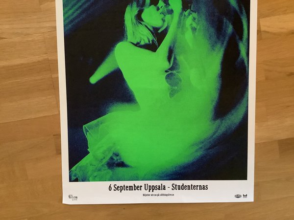 galleryimage 2