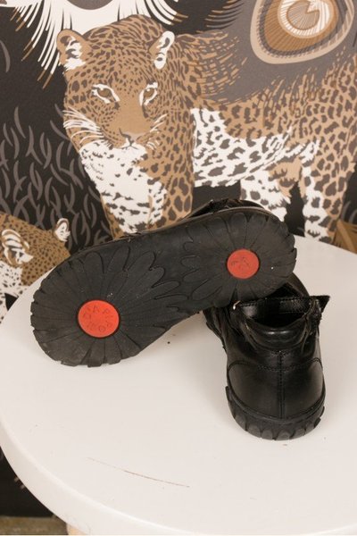 galleryimage 3