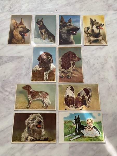 galleryimage 3