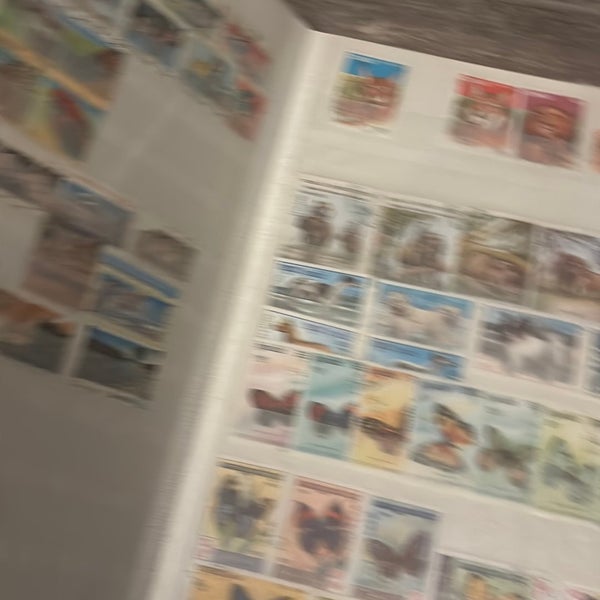 galleryimage 3