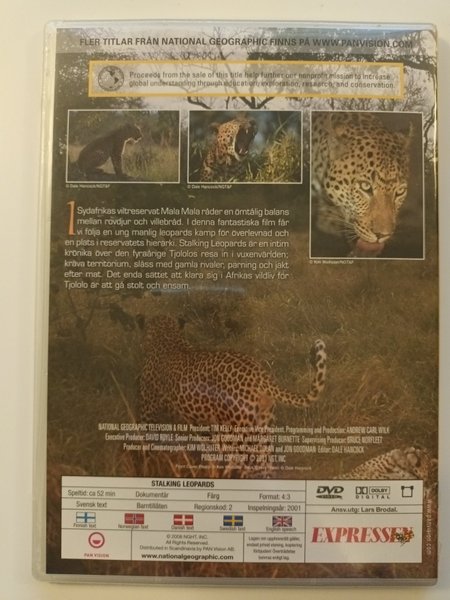 galleryimage 2 zoomed in