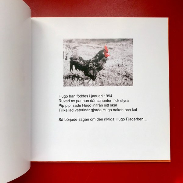 galleryimage 3