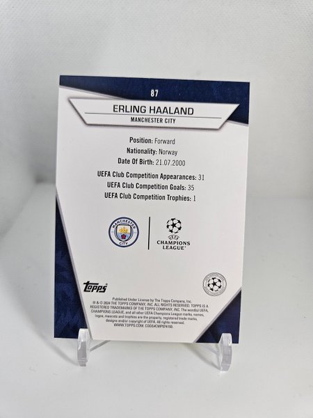 galleryimage 2 zoomed in