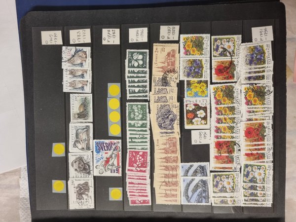 galleryimage 2 zoomed in