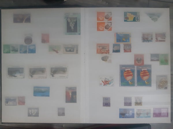 galleryimage 2
