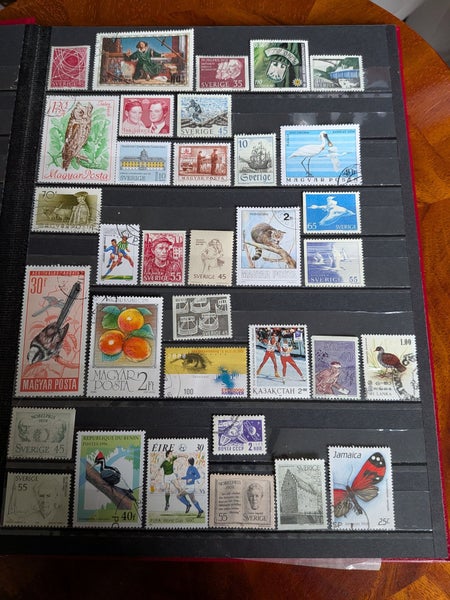 galleryimage 2