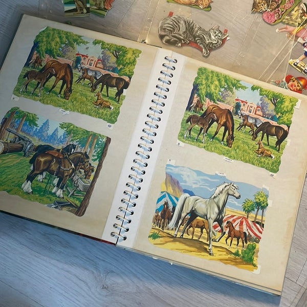 galleryimage 3