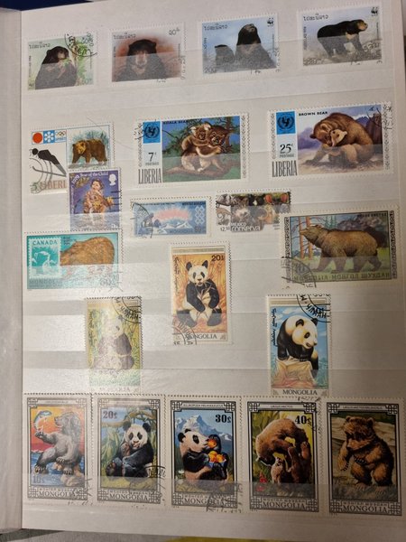 galleryimage 2 zoomed in