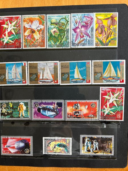 galleryimage 3