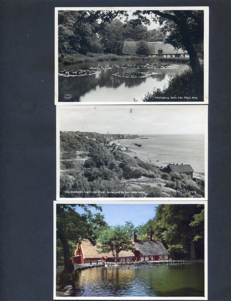 galleryimage 3