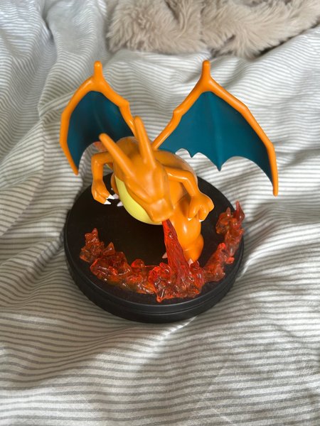 galleryimage 2 zoomed in