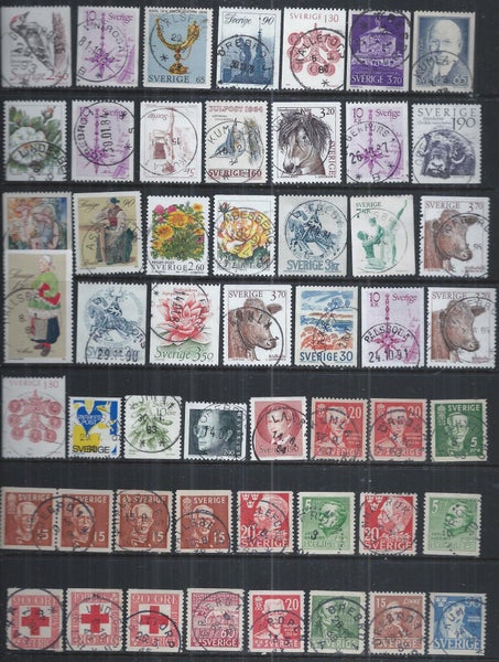 galleryimage 3