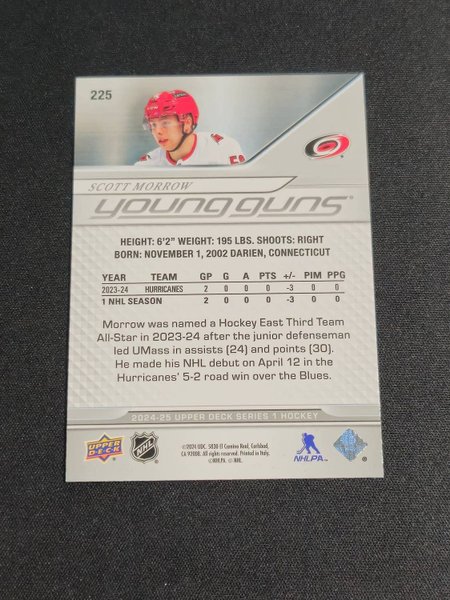 galleryimage 2 zoomed in