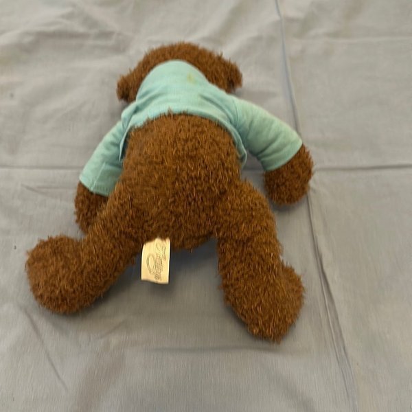 galleryimage 2 zoomed in