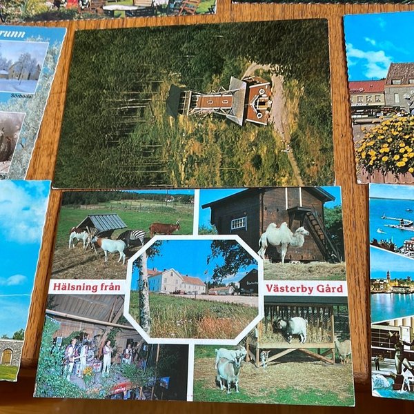 galleryimage 3