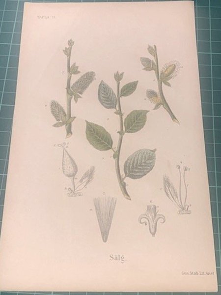 galleryimage 2 zoomed in