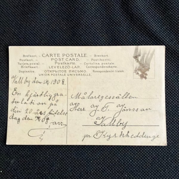 galleryimage 2 zoomed in