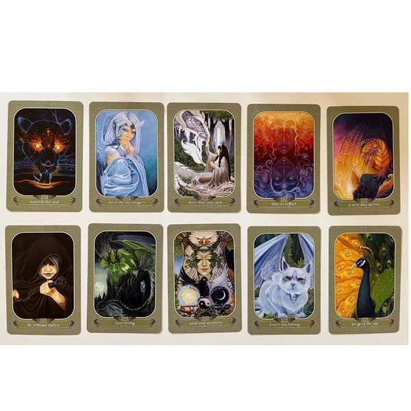 galleryimage 2