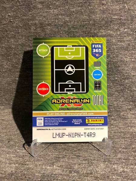 galleryimage 2 zoomed in