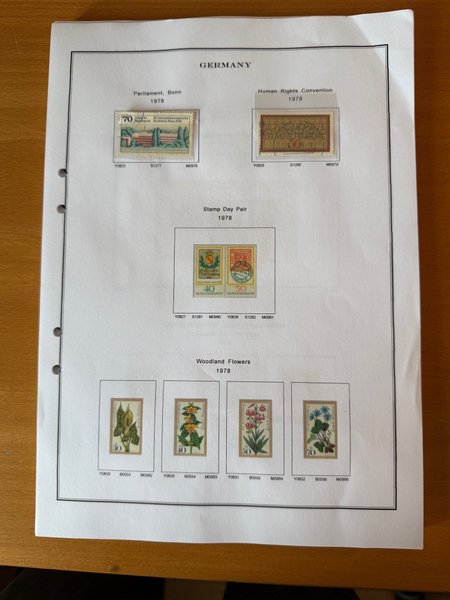 galleryimage 2 zoomed in