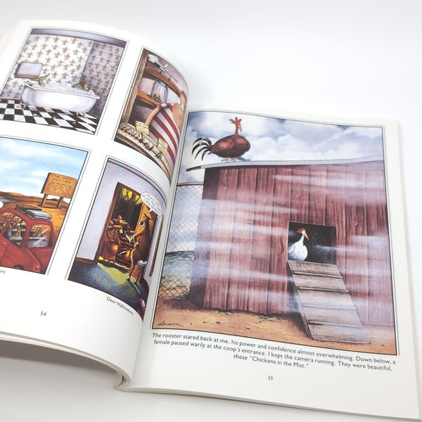 galleryimage 2