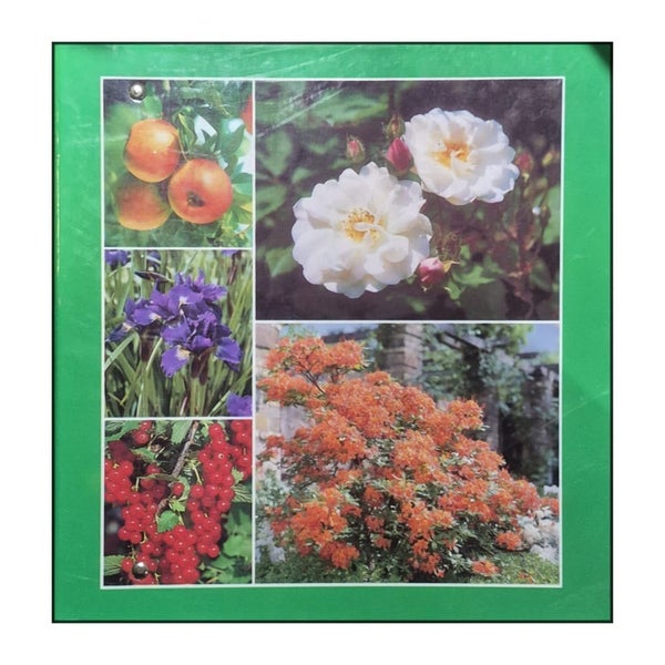 galleryimage 3