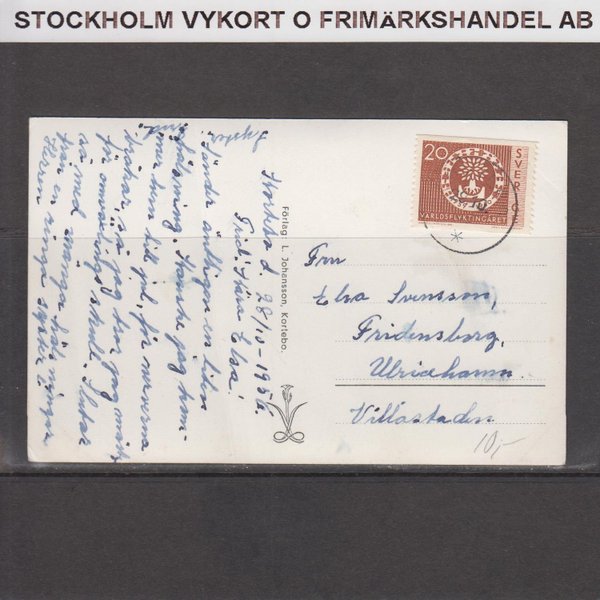 galleryimage 2 zoomed in