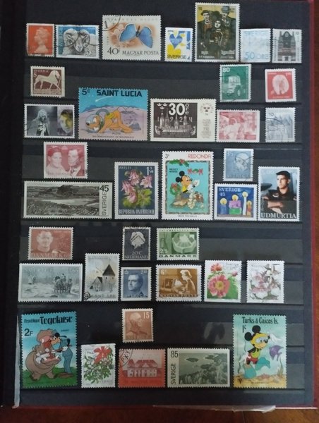 galleryimage 2 zoomed in