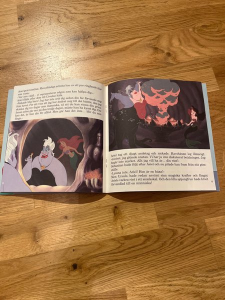 galleryimage 2 zoomed in