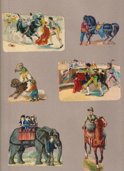 galleryimage 3
