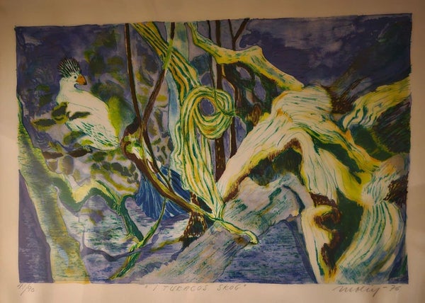 galleryimage 2