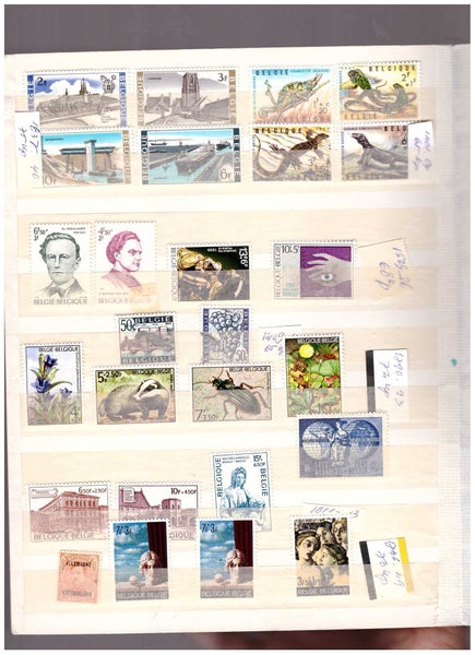 galleryimage 2