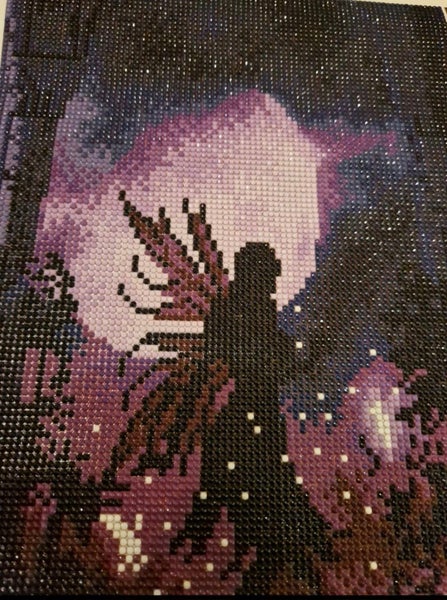 galleryimage 2 zoomed in