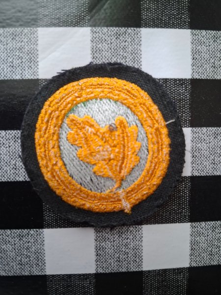 galleryimage 2 zoomed in