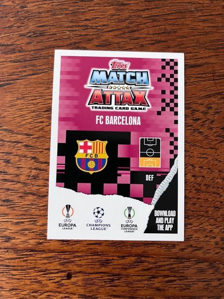 galleryimage 2 zoomed in