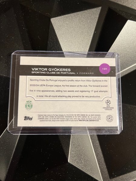 galleryimage 2 zoomed in