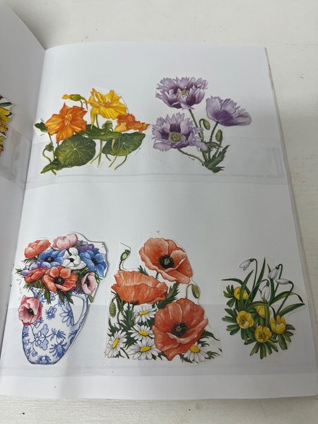 galleryimage 2