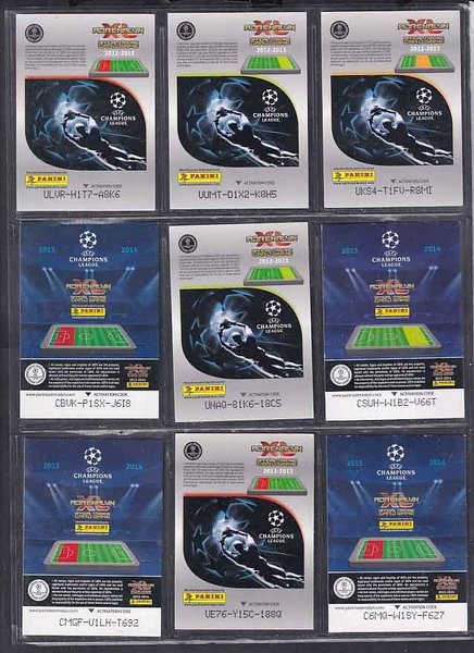 galleryimage 2 zoomed in