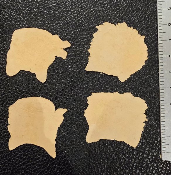 galleryimage 2 zoomed in