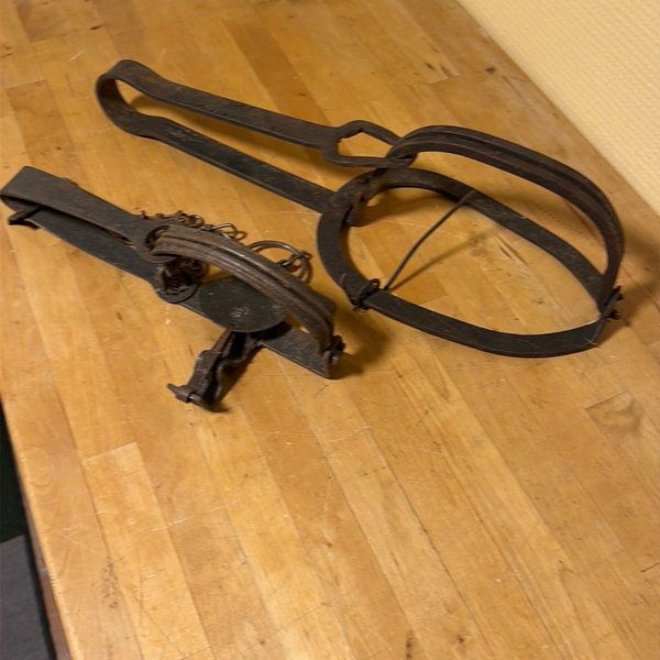 galleryimage 2
