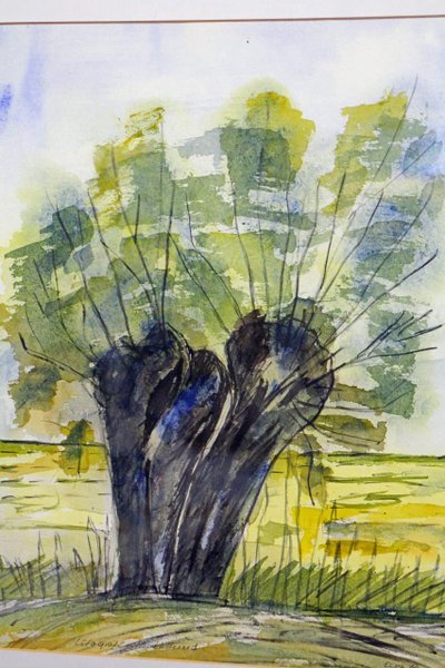 galleryimage 2