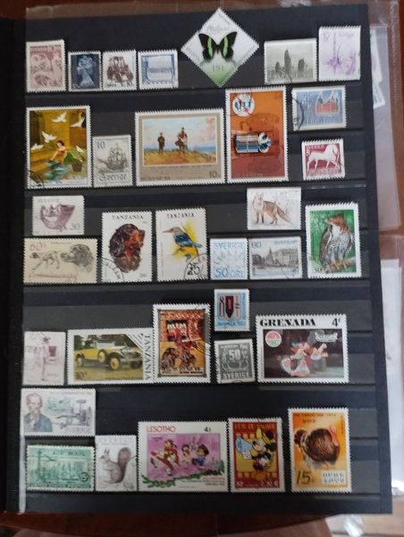 galleryimage 2 zoomed in