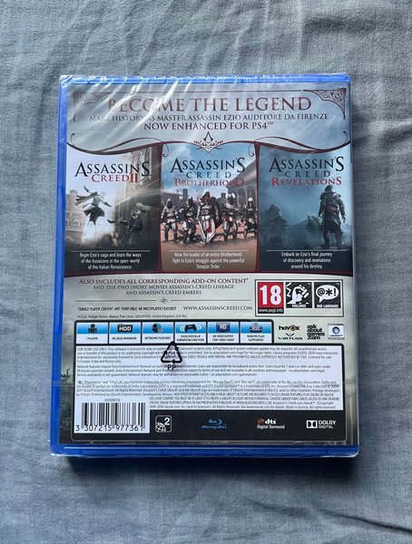 galleryimage 2 zoomed in