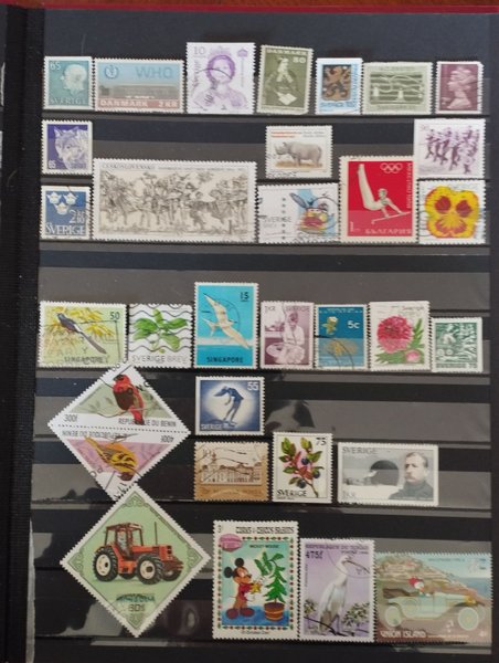 galleryimage 2 zoomed in