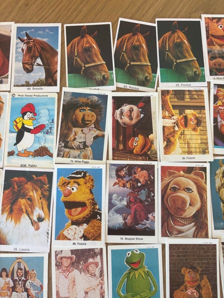 galleryimage 3