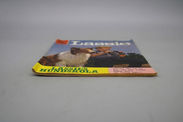 galleryimage 3