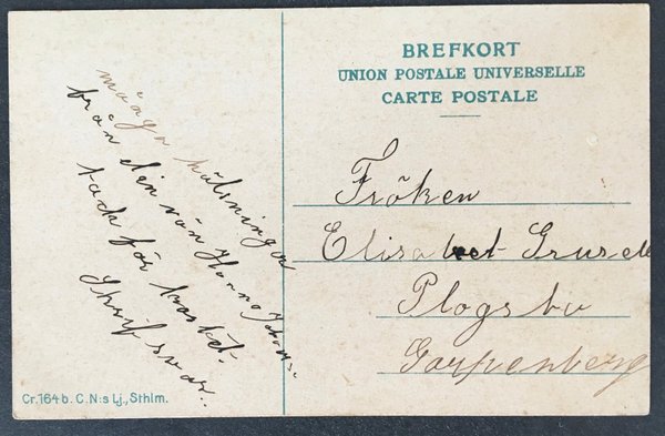 galleryimage 2 zoomed in