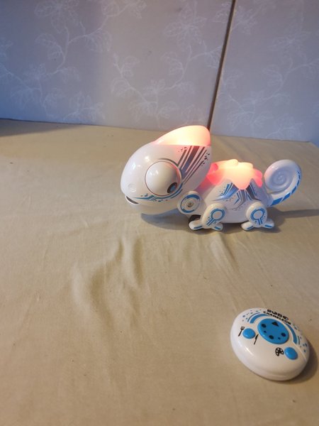 galleryimage 2