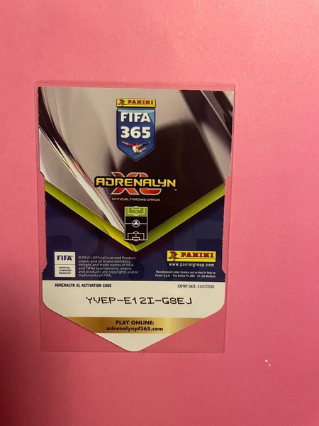 galleryimage 2 zoomed in